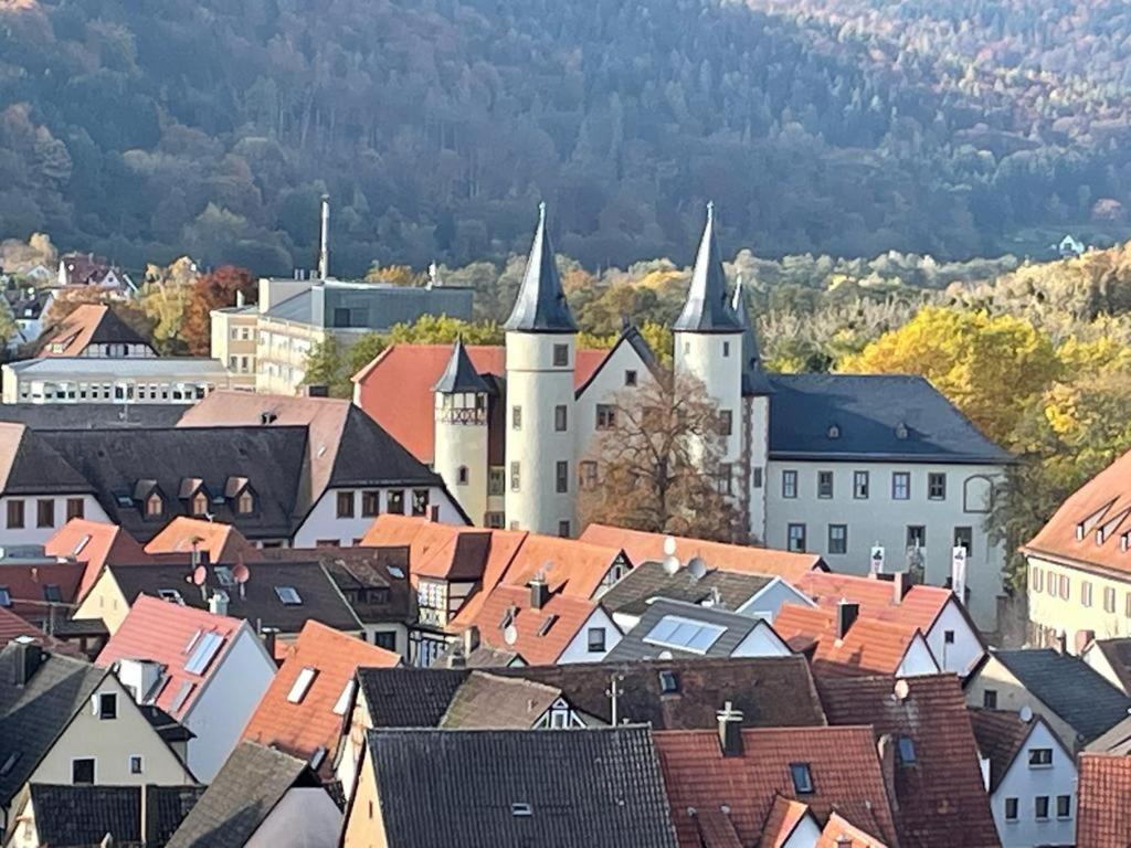 Ferienwohnung Im Springerhof Lohr am Main Экстерьер фото